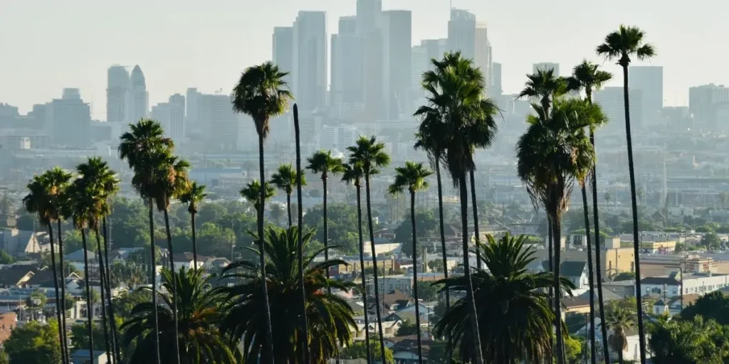 Talleres de carros en California reparar coches en California