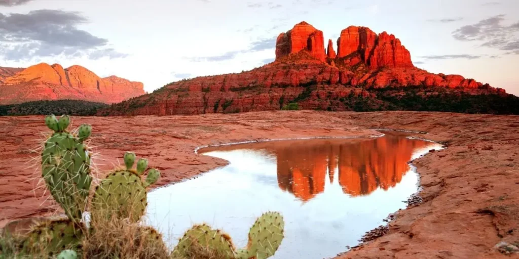 Talleres de carros en arizona reparar coches en Arizona